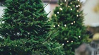 What Difference Does Christmas Make What Difference Does Christmas Make