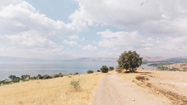 Walking on Holy Ground