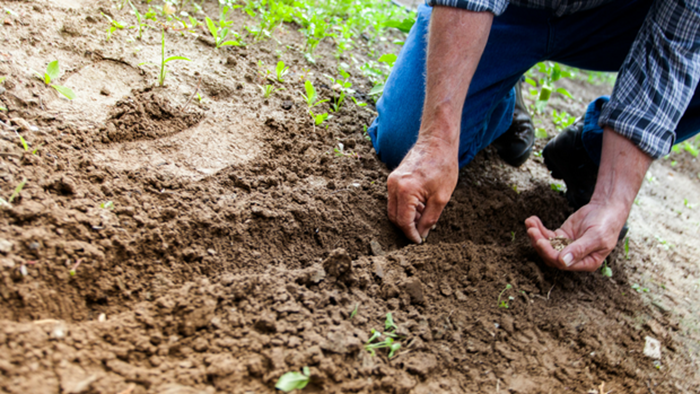Three Keys to Increasing Church Planting Capacity in Denominations Three Keys to Increasing Church Planting Capacity in Denominations
