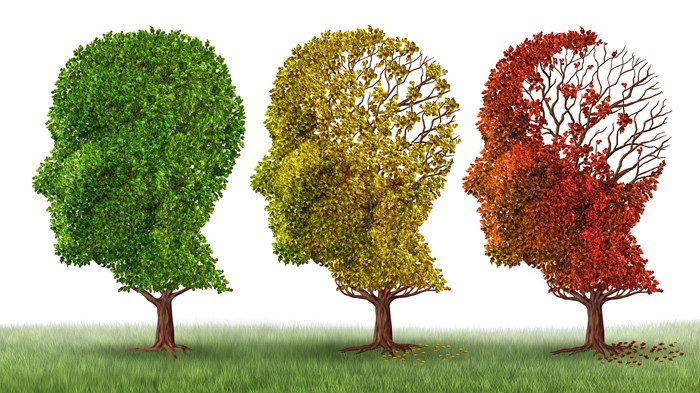 The Beginning of Dementia Isn’t the End of Grace The Beginning of Dementia Isn’t the End of Grace