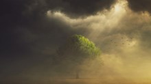 A Healthier Approach to Disagreement in the Church Begins With One Unusual Word A Healthier Approach to Disagreement in the Church Begins With One Unusual Word