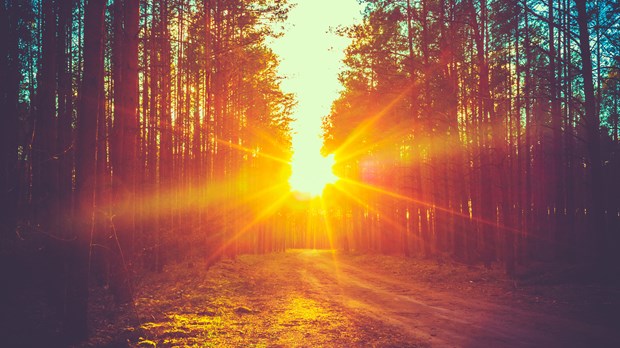 Lead from Where You Are Lead from Where You Are