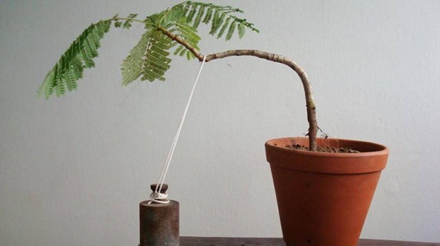 Is It Wrong If I Don’t Want My Church to Grow? Is It Wrong If I Don’t Want My Church to Grow?