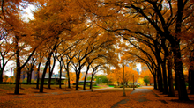 How We’re Encouraging Chicago Church Planters This Fall How We’re Encouraging Chicago Church Planters This Fall