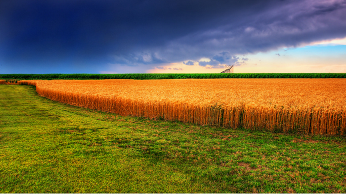 20 Truths from "God's Country" 20 Truths from "God's Country"