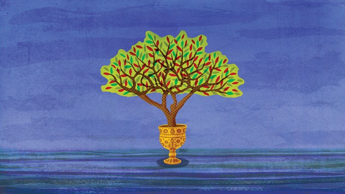 Why Critics Are Wrong to Scold Evangelicals for Historical Rootlessness Why Critics Are Wrong to Scold Evangelicals for Historical Rootlessness