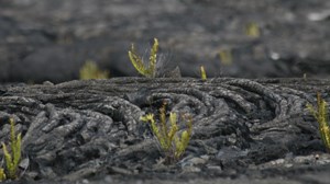 Signs Of Life: 7 Ways To Find A Great Small Church To Attend And Serve Signs Of Life: 7 Ways To Find A Great Small Church To Attend And Serve