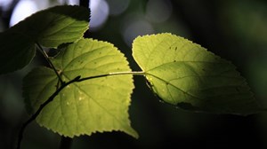 28 Non-Numerical Signs Of A Healthy Church 28 Non-Numerical Signs Of A Healthy Church