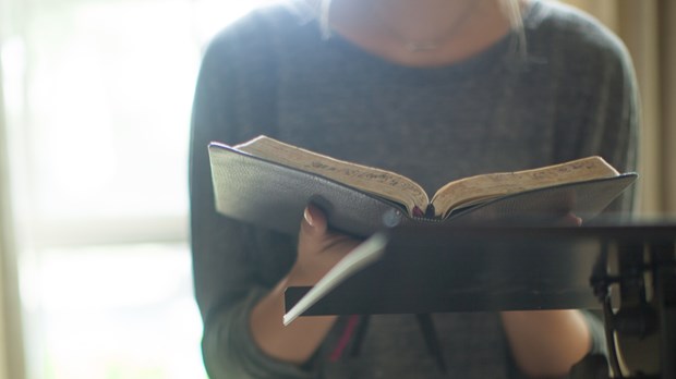 Bearing the Word Bearing the Word