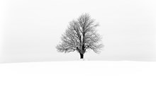 Advent Is a Season of Longing Advent Is a Season of Longing