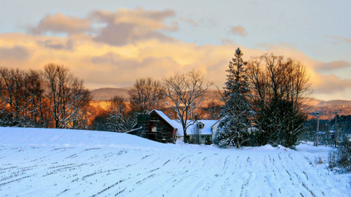 I’m a Rural Pastor! What Now? I’m a Rural Pastor! What Now?