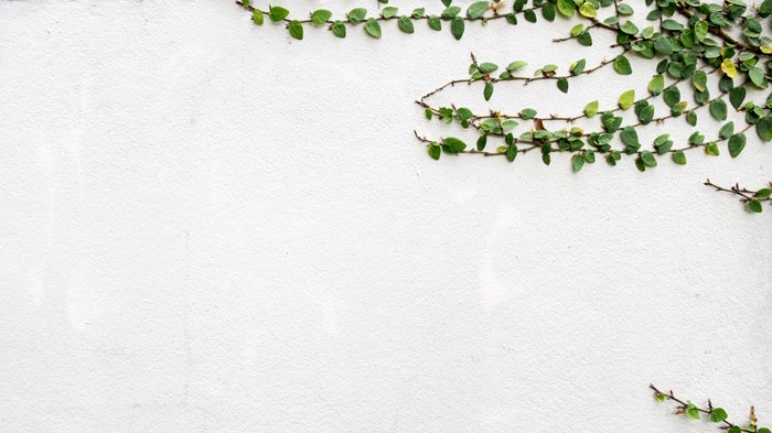 Pastor, You Need a Spiritual Growth Plan Pastor, You Need a Spiritual Growth Plan