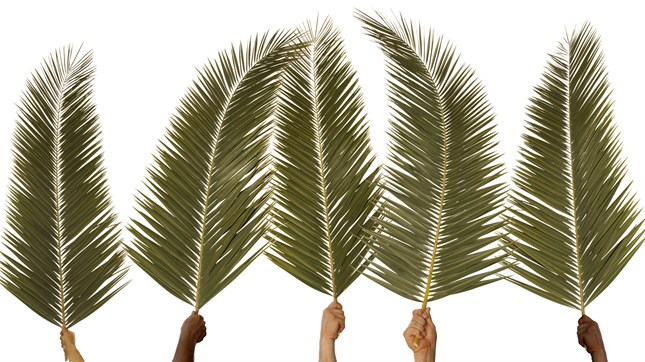 Top 5 Palm Sunday Sermons