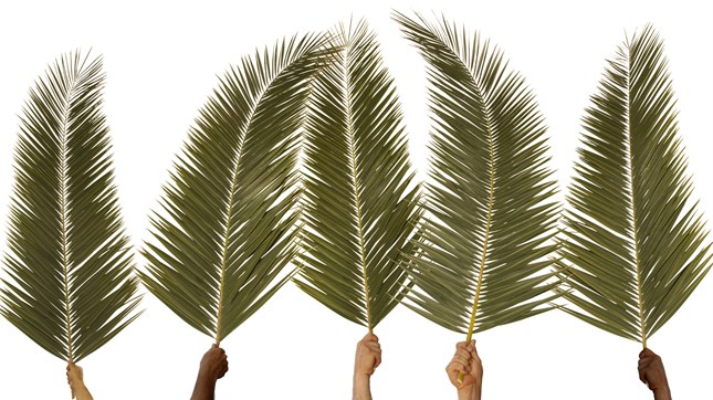 Top 5 Palm Sunday Sermons Top 5 Palm Sunday Sermons