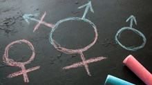 The Transgender Narrative Perpetuates Stereotypes The Transgender Narrative Perpetuates Stereotypes