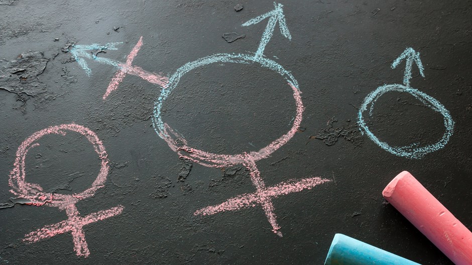How the Transgender Narrative Perpetuates Stereotypes
