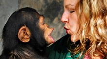 Behaving Like Children or Chimps?