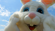 Christian Foster Parents Lose Kids over Easter Bunny. Court Disagrees.