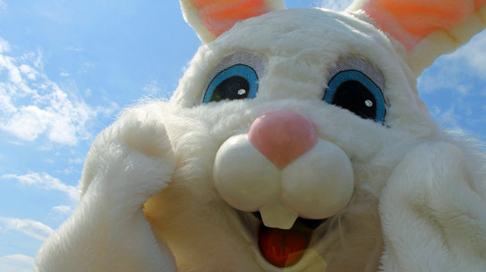 Christian Foster Parents Lose Kids over Easter Bunny. Court Disagrees. Christian Foster Parents Lose Kids over Easter Bunny. Court Disagrees.