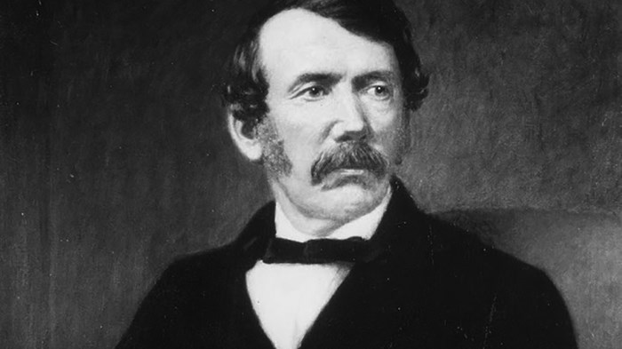 Discovering David Livingstone