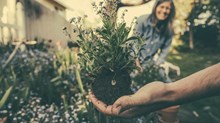 Save Your Soul: Start Gardening