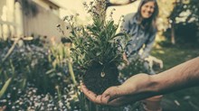 Save Your Soul: Start Gardening Save Your Soul: Start Gardening