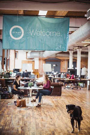 Ocean Accelerator welcomed its fourth cohort of startups this year. The 26 companies that have gone through the program since its launch in 2015 have raised $7.2 million and created 63 jobs. Ocean Accelerator welcomed its fourth cohort of startups this year. The 26 companies that have gone through the program since its launch in 2015 have raised $7.2 million and created 63 jobs.