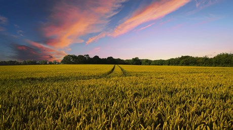 Reaching and Revitalizing Rural America: Overcoming Misconceptions, and Answering the Call (Part 2) Reaching and Revitalizing Rural America: Overcoming Misconceptions, and Answering the Call (Part 2)