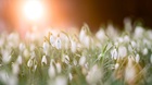The Goodness of Sabbath Rest The Goodness of Sabbath Rest
