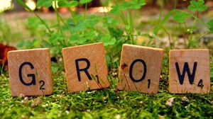 If A Church Isn’t Growing, Should The Pastor Be Fired? If A Church Isn’t Growing, Should The Pastor Be Fired?