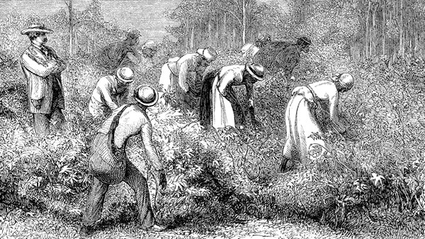 Slavery Was the 'Good Faith' Disagreement Behind the Civil War