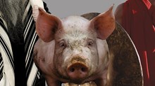 Heard the One About the Jewish Man, the Roman Demon, and the Gentile Pigs? Heard the One About the Jewish Man, the Roman Demon, and the Gentile Pigs?