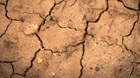 The Rocky Soil The Rocky Soil