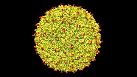 Why Zika, and Other Viruses, Don’t Disprove God’s Goodness Why Zika, and Other Viruses, Don’t Disprove God’s Goodness