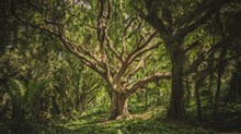 What Trees Teach Us about Life, Death, and Resurrection