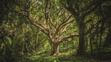 What Trees Teach Us about Life, Death, and Resurrection What Trees Teach Us about Life, Death, and Resurrection