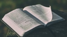Dumbed Down? Why Reading the Bible Is so Elusive—Yet so Vitally Important