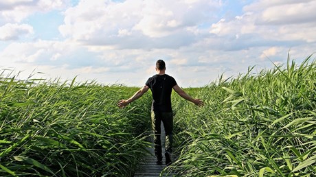 How Pastors Can Leave Well How Pastors Can Leave Well