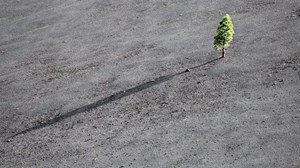 Think Bigger: Why “How Do I Get Our Church To Grow?” Is The Wrong Question Think Bigger: Why “How Do I Get Our Church To Grow?” Is The Wrong Question