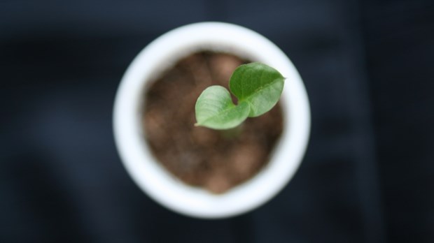 Grow Or Die? Actually, There’s A Third Option – Be A Great Small Church
