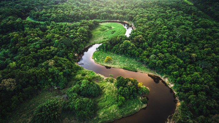 Brazil Investigates If US Missionary Encroached on Isolated Amazon Tribe