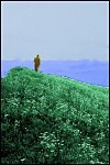 The Beatitudes: Happiness Is a Serious Business The Beatitudes: Happiness Is a Serious Business