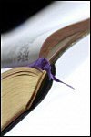 Revelation: Letters to the Churches Revelation: Letters to the Churches