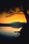 Revelation: Looking Forward to Heaven Revelation: Looking Forward to Heaven