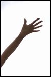 Worship Worship