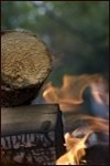 Seeing Christ in the Old Testament Offerings Seeing Christ in the Old Testament Offerings