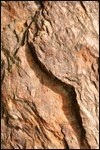 2 Corinthians: Hard Knocks, Unbreakable Faith 2 Corinthians: Hard Knocks, Unbreakable Faith