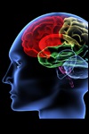 The Foundation of the Evangelical Mind The Foundation of the Evangelical Mind