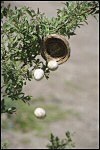 Empty Nest–Full Life Empty Nest–Full Life