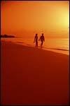 Joyfully Ever After Joyfully Ever After